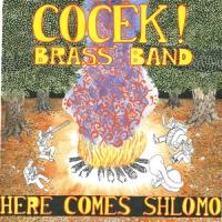 Cocek! Brass Band with the NY Gypsy All-Stars at Drom, Today Video