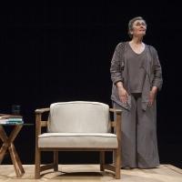 BWW Reviews: APT's Sarah Day Delivers Magnificent THE YEAR OF MAGICAL THINKING Video