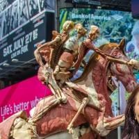 Body Worlds Announces First Ever Permanent Home In New York City At Discovery Times S Video