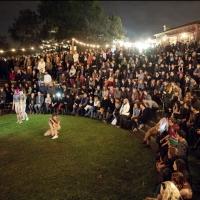Next Wave Festival Surges Toward Climax Video
