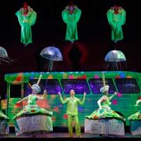 BWW Reviews: Fabulous and Heartwarming, PRISCILLA Takes on Durham Video