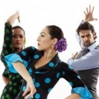 Brooklyn Center for the Performing Arts Announces 60th Anniversary World Dance Series Video