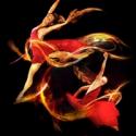 Momix's ALCHEMIA Debuts at the Warner Theater, 1/12-13 Video