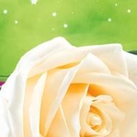 Ensemble Theatre's SLEEPING BEAUTY Begins Today