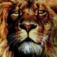 Rose Theater to Present NARNIA, 12/6-29