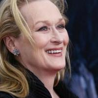 Photo Coverage: Wishes Come True! On the Red Carpet at the INTO THE WOODS NYC…