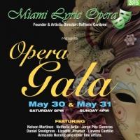 Miami Lyric Opera to Host 2015 Gala This May