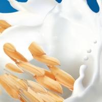 DREAM Introduces a New Look For Its Non-Dairy Beverages