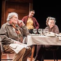 BWW Reviews: THE APPLE FAMILY PLAYS, An Intelligent Reflection of Art and Life