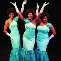 Photo Flash: Meet the Cast of Mad Cow Theatre's DREAMGIRLS Video
