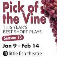 Little Fish Theatre's PICK OF THE VINE Returns in 2015 Video