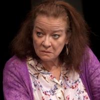 Photo Flash: Clare Higgins, Greg Hicks and More Lead CLARION, Opening Tonight Video
