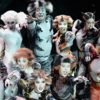 Photo Flash: The Jellicle Cats are Back! New Production Photos of West End Revival of Andrew Lloyd Webber's CATS!