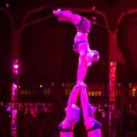 Spiegelworld to Kick Off New Show VEGAS NOCTURNE at The Cosmopolitan, 12/30