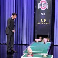 VIDEO: Puppies Predict the 2015 College Football Championship on TONIGHT