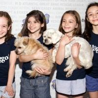 Photo Coverage: The Stars Arrive at Broadway Barks 16, Part One