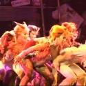 STAGE TUBE: Featured Interviews and Behind the Scenes of CATS at the Gateway in Bellp Video