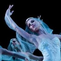 Houston Ballet to Perform LA BAYADERE in Canada, April 30-May 9 Video