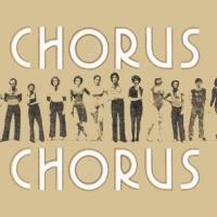 Broadway and Local Veterans Cast in A CHORUS LINE at Theatre Under The Stars! Video
