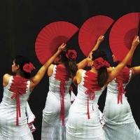BWW Reviews: SESSIONS 2014: FLAMENCO ARETI Brings a Stylish Art Form to Adelaide Audiences
