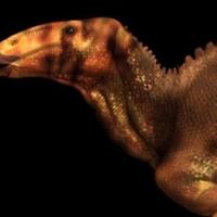 Nat Geo Channel to Premiere Special DINO AUTOPSY This Summer