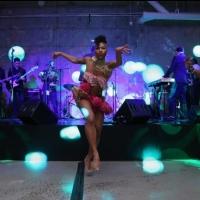 Photo Flash: Cast of FELA! and More Attend the 2014 Malaria No More Gala Video