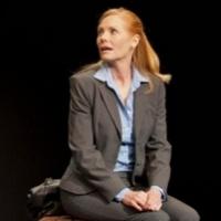 Photo Flash: First Look at Marg Helgenberger and More in Barrington Stage's THE OTHER Video