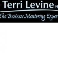 Terri Levine Shows Businesses How To Make Money Faster In Spite of The Economy