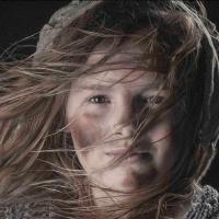 Steve Blanchard, Dee Hoty and More Among Stars of Lyric Theatre's 2014 Summer Shows…
