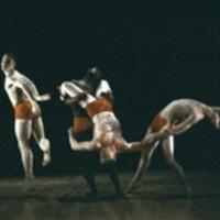 Video: 10 Hairy Legs Dance Company Presents JUST SUITS August 24 in New Jersey