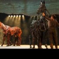 BWW Reviews: A Tale of Friendship, Love, War Gallops to the Stage in Tour of WAR HORSE at The Bushnell