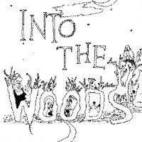 No Strings Theatre Presents INTO THE WOODS at the Black Box Theatre, Now thru 8/3