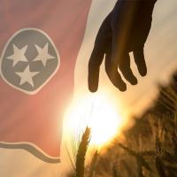 World Premiere of WINTER WHEAT Begins Performances Tonight at Barter Theatre