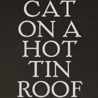 CAT ON A HOT TIN ROOF Stars Benjamin Walker and Ciaran Hinds to Appear on the Leonard Video
