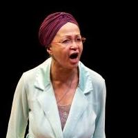 BWW Reviews: CATF 2014: DEAD AND BREATHING is a Sarcastic and Sentimental Comedy with Video