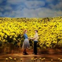 Full Cast Announced for Norbert Leo Butz, Kate Baldwin & Bobby Steggert-Led BIG FISH…