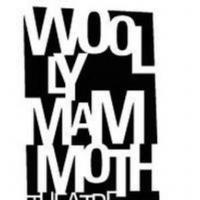 Woolly Mammoth Theatre Company to Host Town Hall Meeting on American Racism, 8/23 Video