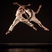 Choir of Canterbury Cathedral to Join Richard Alston Dance Company at Marlowe Theatre Video