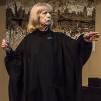 BWW Reviews: LETTICE AND LOVAGE at Quotidian Theatre Co. Video