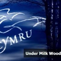 Owen Teale to Star in UK Tour of Dylan Thomas' UNDER MILK WOOD
