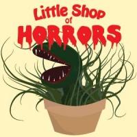 MTG's LITTLE SHOP OF HORRORS Opens Tomorrow Video