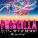 BWW Reviews: The Fox Theatre's  Colorful Production of PRISCILLA, QUEEN OF THE DESERT Video