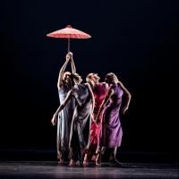 Brooklyn Center to Welcome Nai-Ni Chen Dance Company for Lunar New Year Celebration,  Video