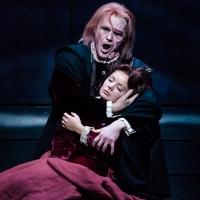 BWW Reviews: Houston Grand Opera's RIGOLETTO is Sung Well but Flatly Acted Video