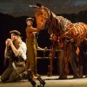 BWW Reviews: WAR HORSE - Stunning Stage Wizardry at Curran Theatre