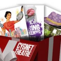 Cygnet Theatre Offers Black Friday Deals Video