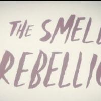 TV Exclusive: Celebrating MATILDA's Grammy Nominated Score- 'The Smell of Rebellion' Music Video!