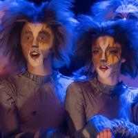 CATS Extends at Panasonic Theatre Through 9/22 Video