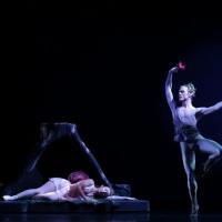 American Repertory Ballet to Host 'Behind the Music' Event for A MIDSUMMER NIGHT'S DR Video