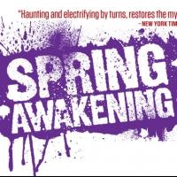 Cygnet Theatre Receives $10K NEA Grant for SPRING AWAKENING and More Video